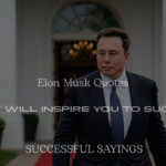 200+ Elon Musk Quotes That Will Inspire You to Success