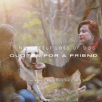 150+ Heartfelt Loss of Dog Quotes for a Friend